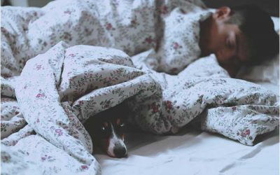 Cómo dormir rápido y bien: 4 consejos